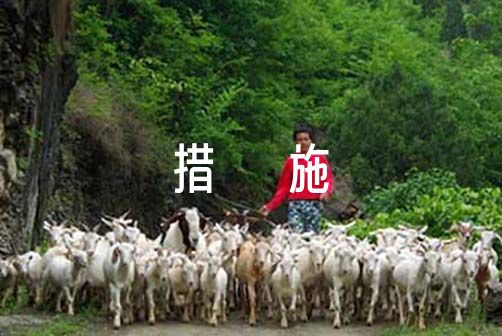 如何制定智能篮球训练计划_0